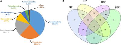 Microbiota Diversity in Pearl Oyster Pinctada fucata martensii Intestine and Its Aquaculture Environment